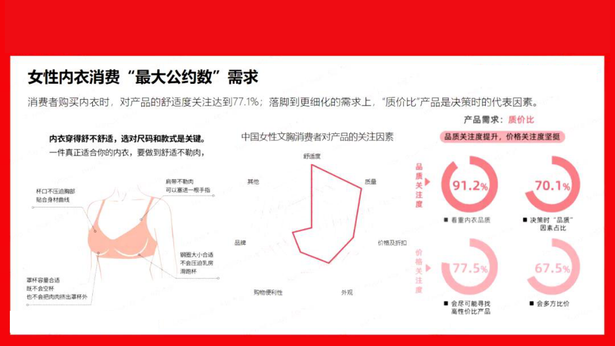 2024内衣品牌抖音营销策略.pdf_第5页