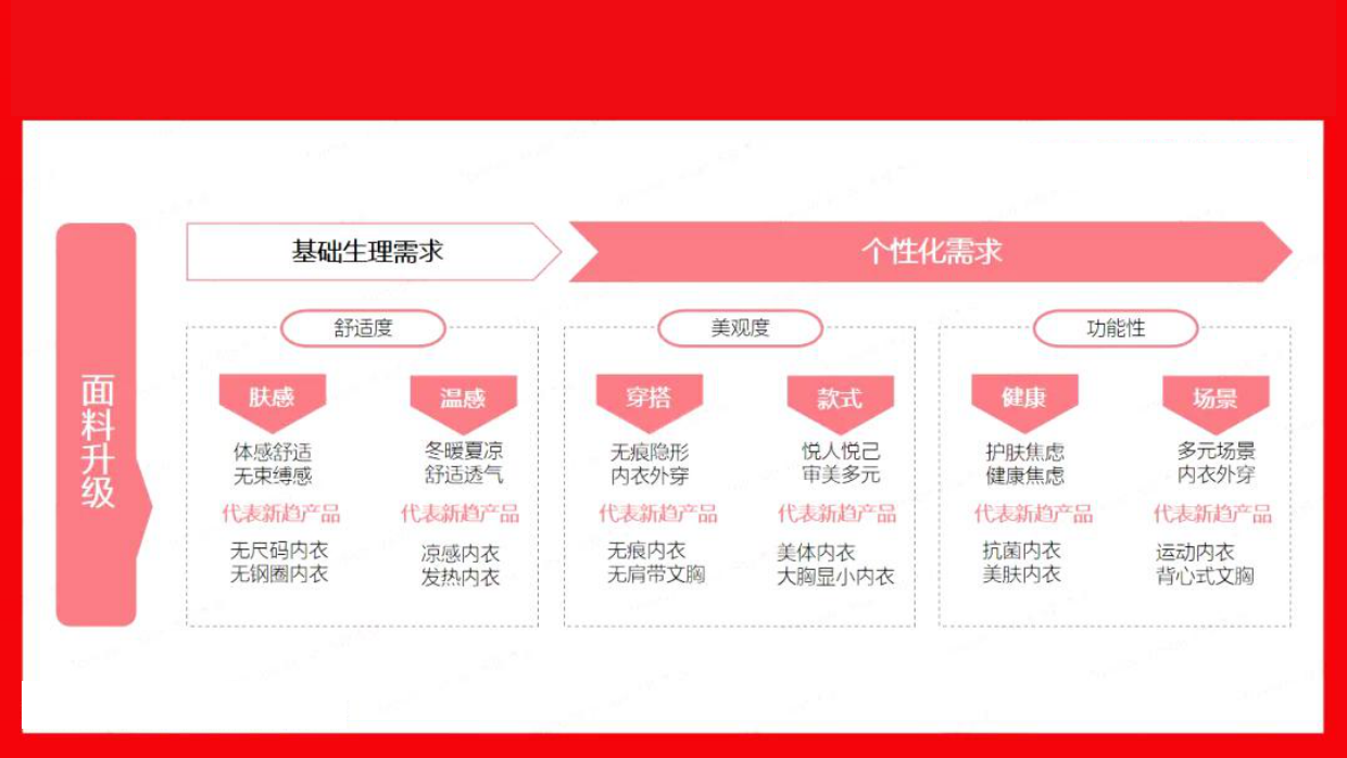 2024内衣品牌抖音营销策略.pdf_第7页