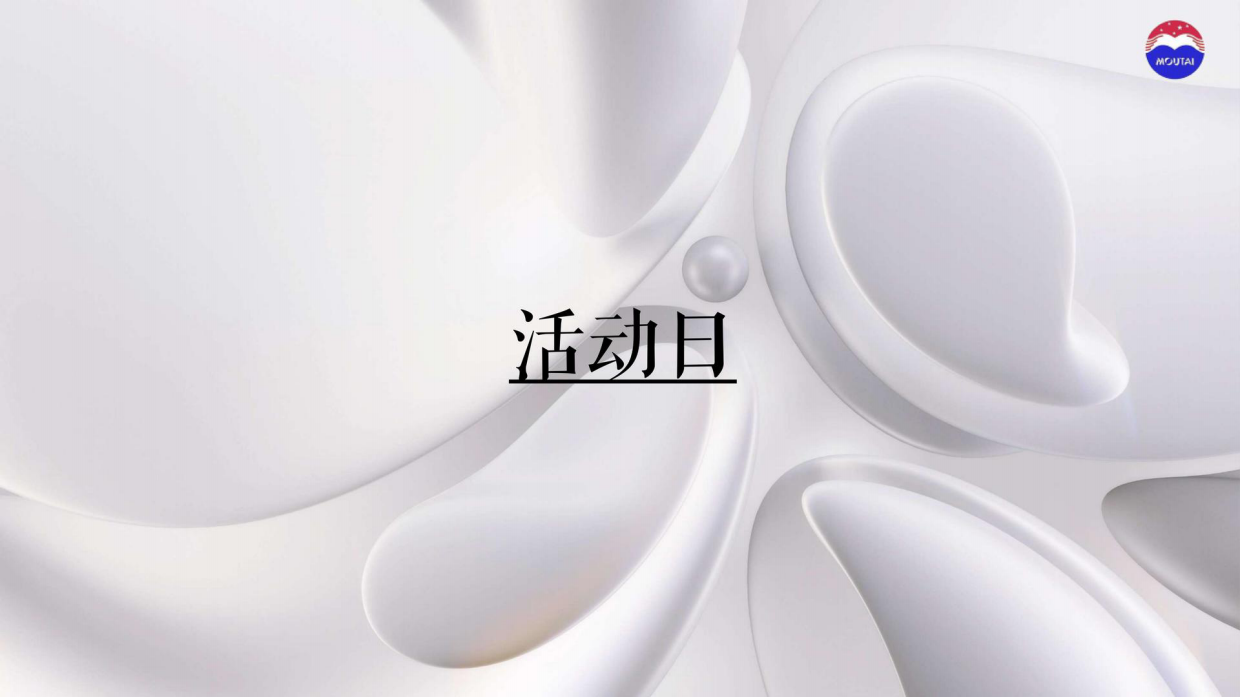2025茅台白酒夏季茅友音乐嘉年华活动方案.pdf_第10页