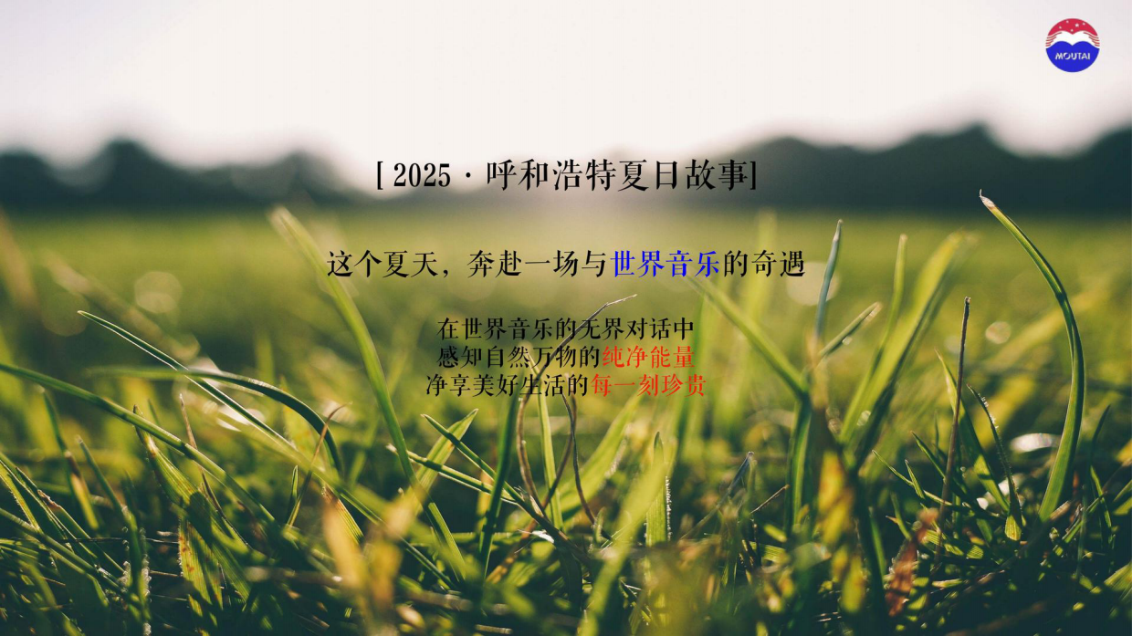 2025茅台白酒夏季茅友音乐嘉年华活动方案.pdf_第3页