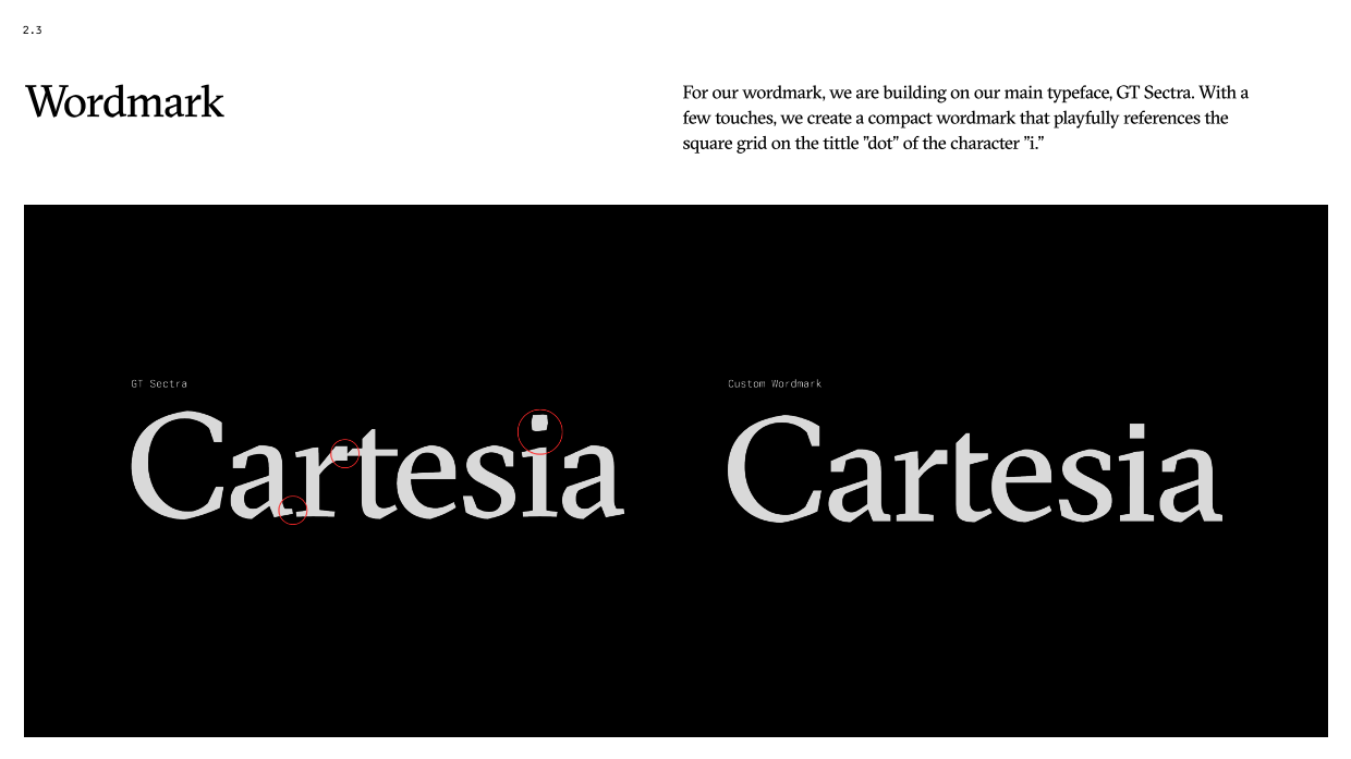 AI 科技公司Cartesia 品牌VI手册.pdf_第9页