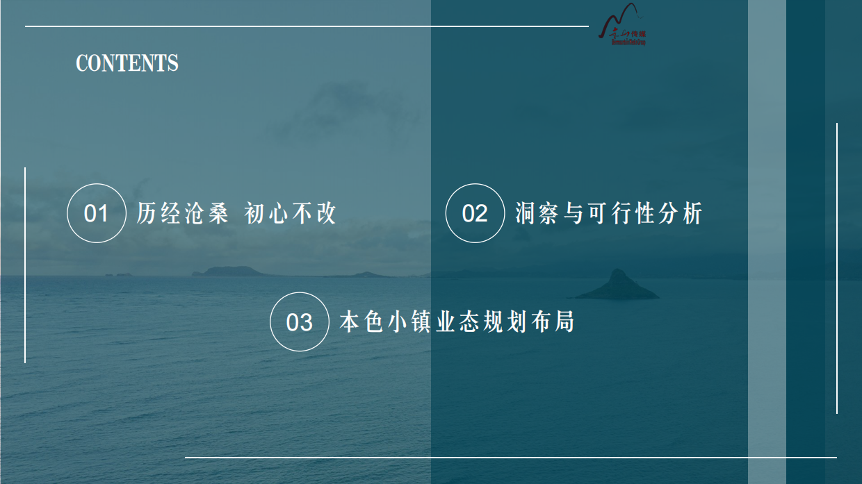 2026海南本色小镇文旅城市规划项目方案.pdf_第3页