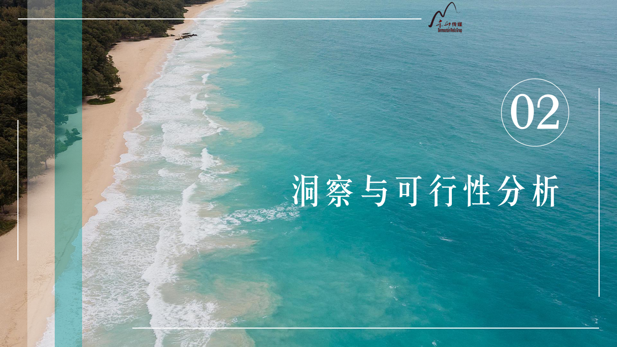 2026海南本色小镇文旅城市规划项目方案.pdf_第8页