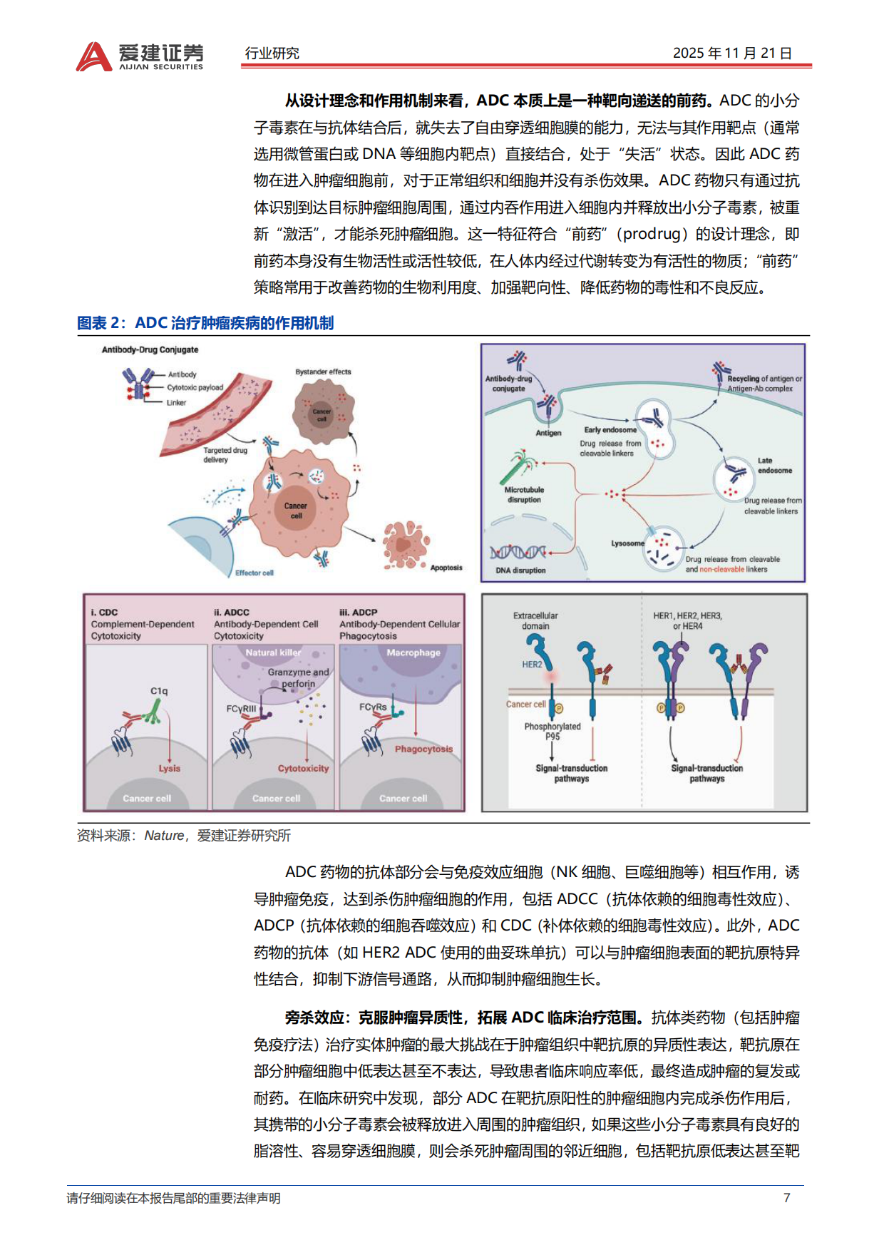 2025医药生物行业抗体偶联药物ADC产业投资框架：“精准化疗”引爆千亿市场，中国创新引领全球浪潮-爱建证券.pdf_第7页