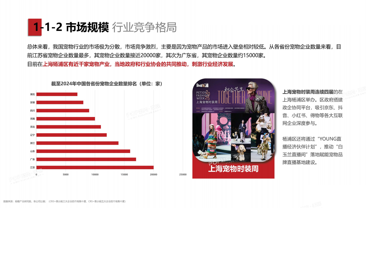 2025年宠物时尚趋势白皮书（上）-POP趋势.pdf_第6页