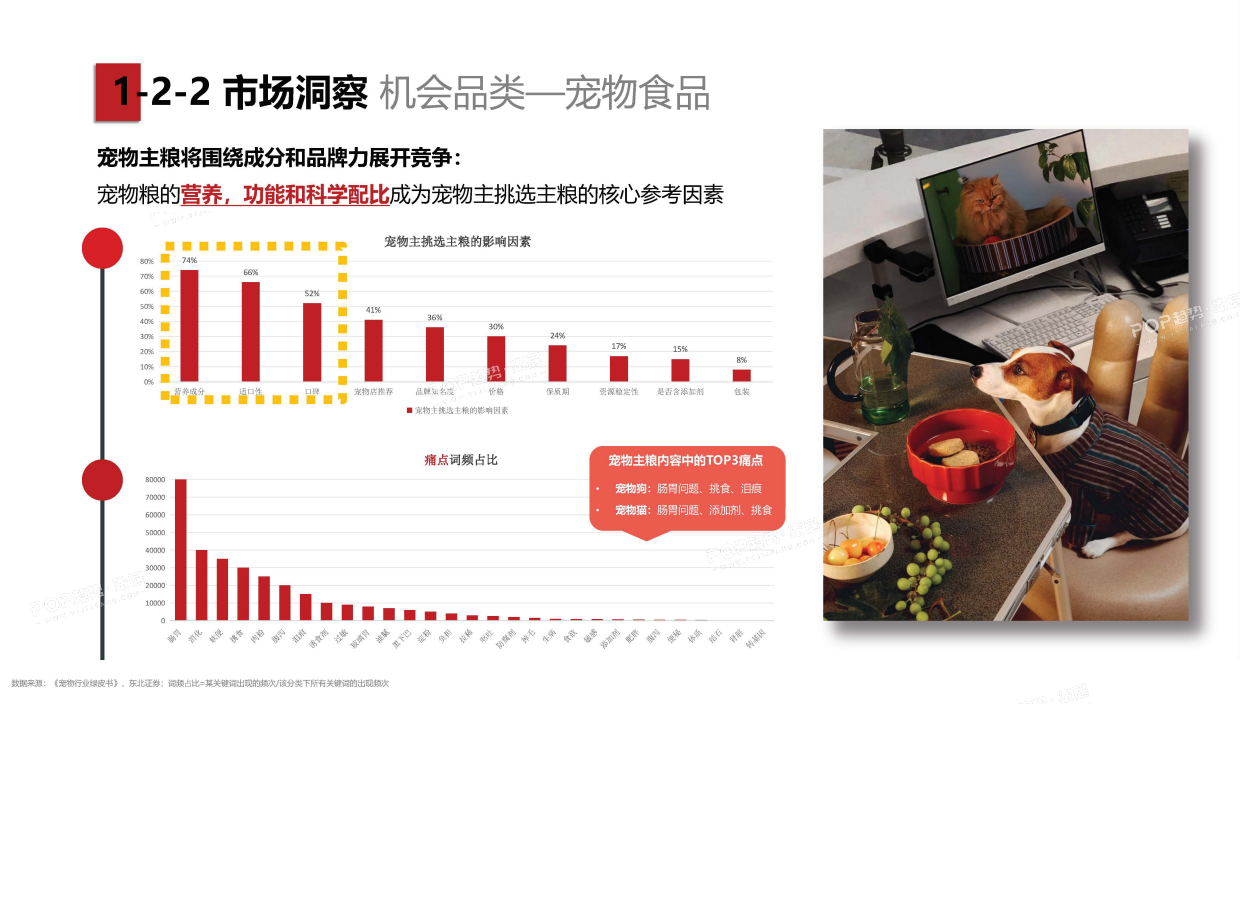 2025年宠物时尚趋势白皮书（上）-POP趋势.pdf_第9页