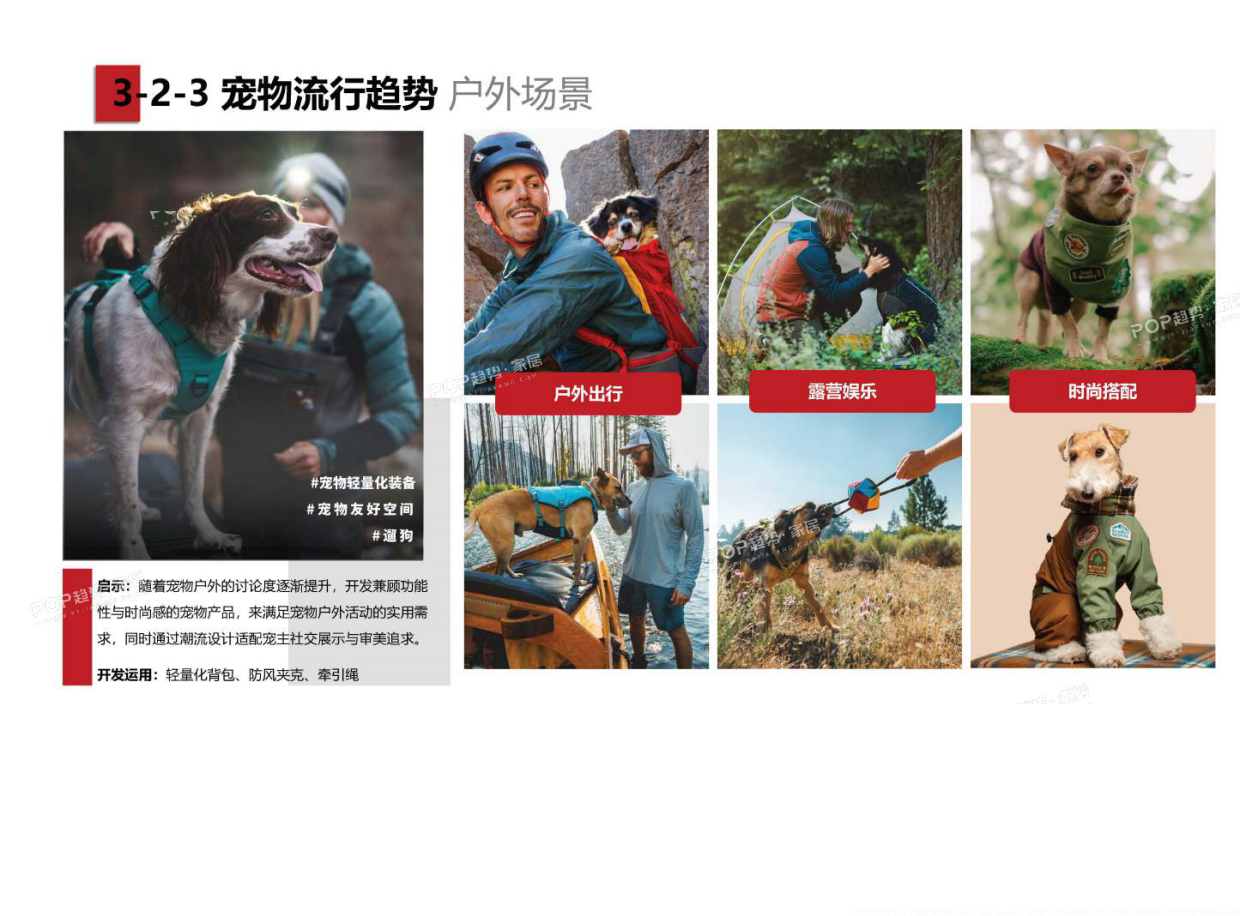 2025年宠物时尚趋势白皮书（下）-POP趋势.pdf_第10页