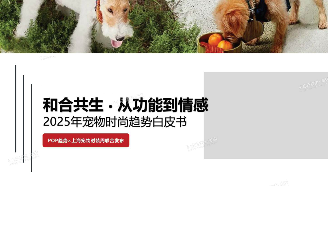 人宠共居社交体验户外场景三大流行趋势图