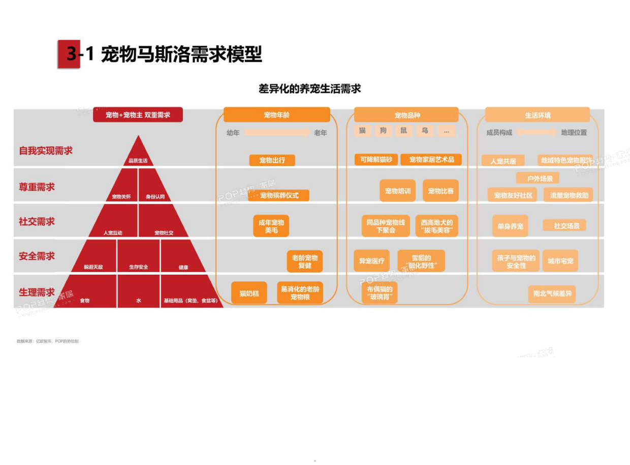宠物时尚联名与线下体验生态图