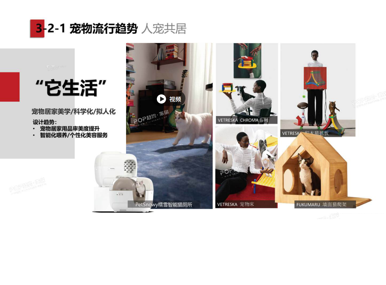 2025年宠物时尚趋势白皮书（下）-POP趋势.pdf_第7页