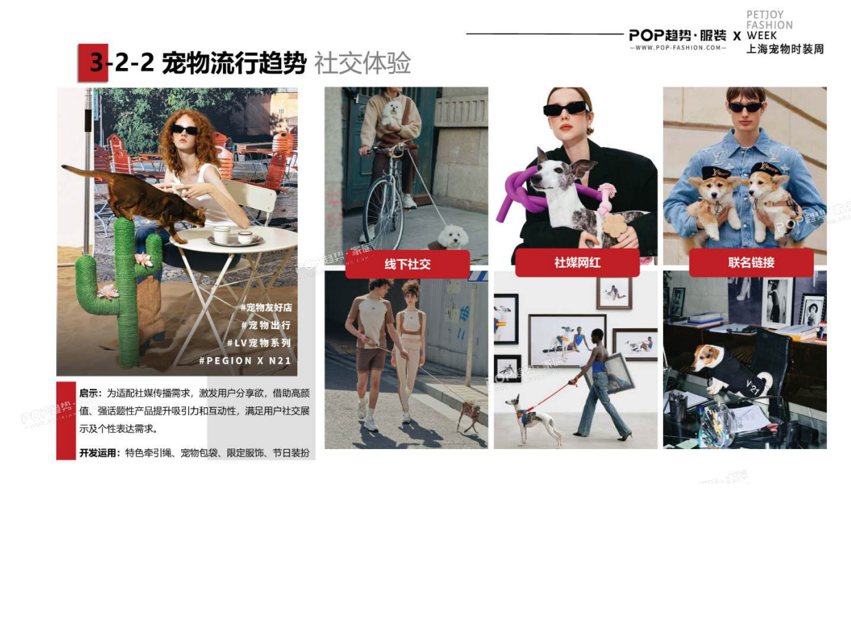 2025年宠物时尚趋势白皮书（下）-POP趋势.pdf_第8页
