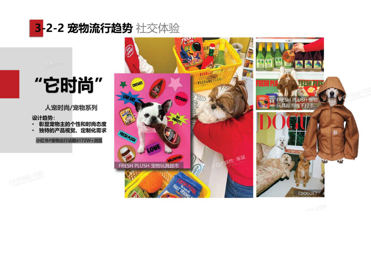 2025年宠物时尚趋势白皮书（下）-POP趋势.pdf_第9页