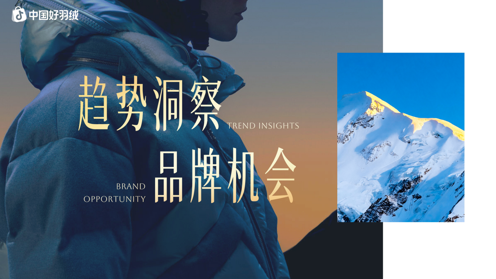 2026抖音中国好羽绒招商方案.pptx_第2页