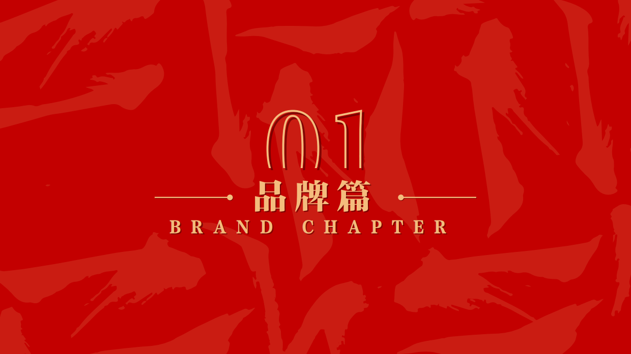丁家坡洋芋品牌手册.pdf_第4页