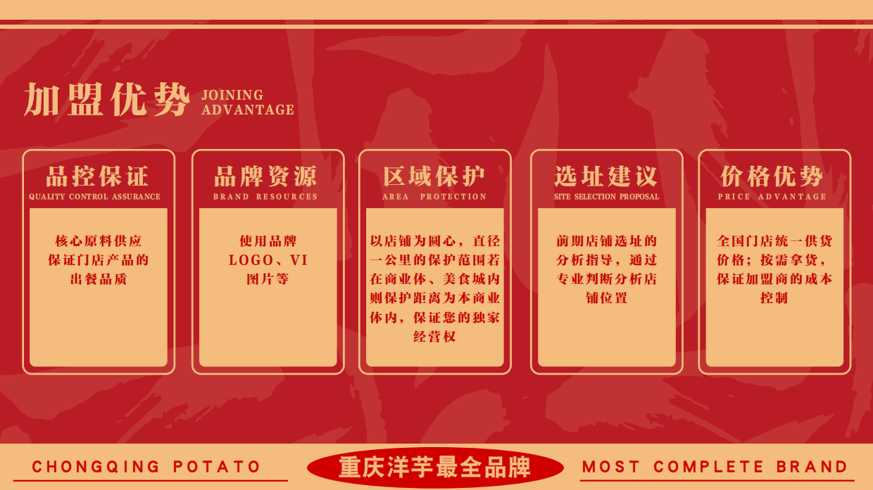 丁家坡洋芋品牌手册.pdf_第8页