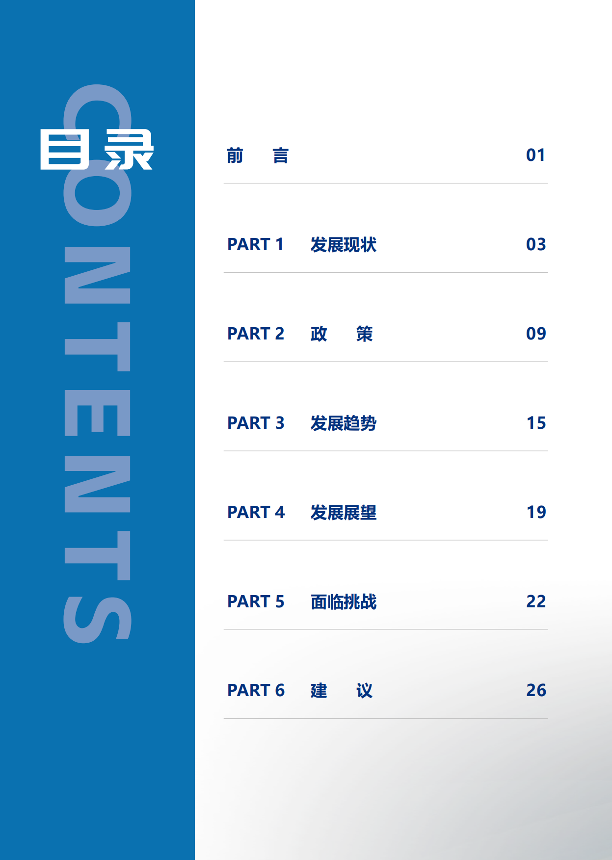 2026中国生物质能产业年度发展报告-中国产业发展促进会生物质能产业分会.pdf_第4页