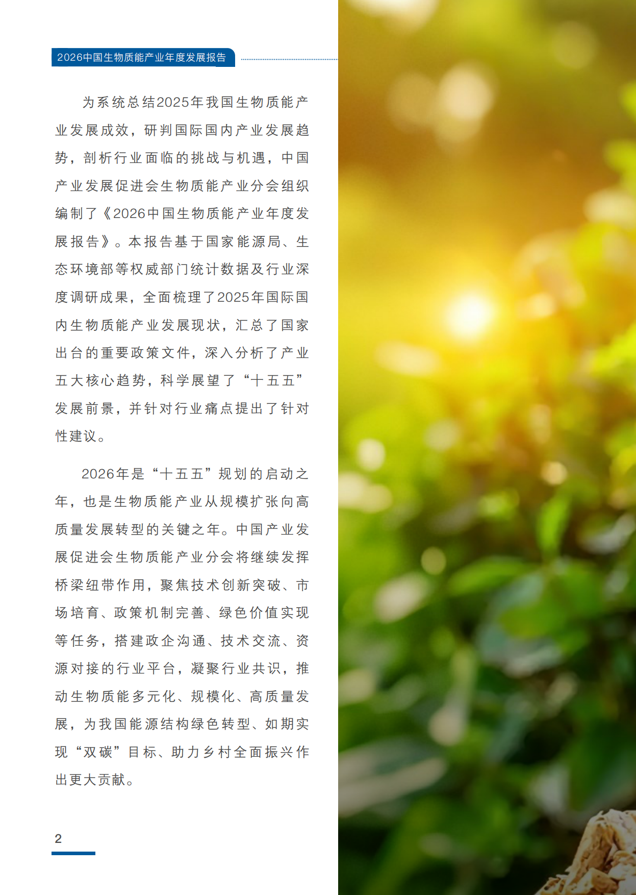 2026中国生物质能产业年度发展报告-中国产业发展促进会生物质能产业分会.pdf_第6页