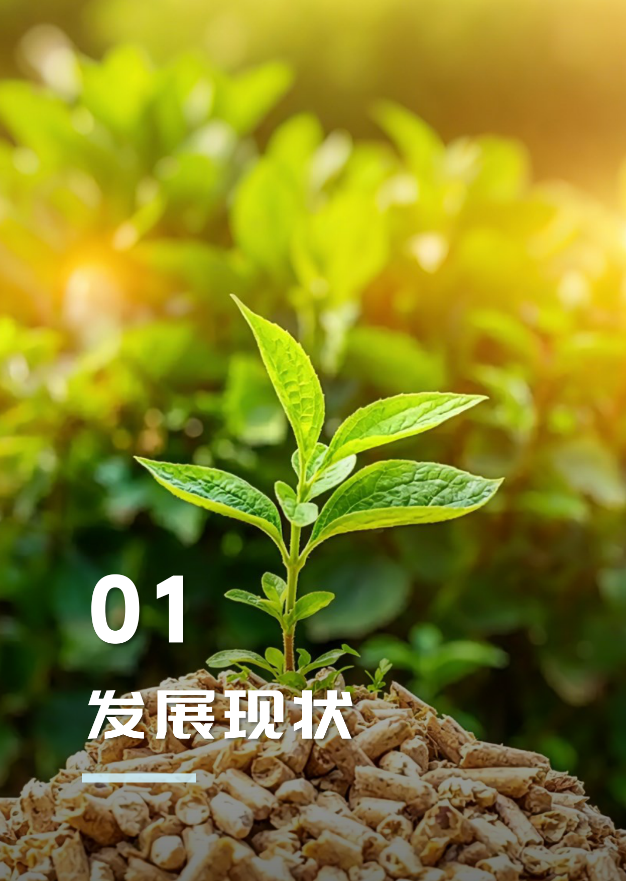 2026中国生物质能产业年度发展报告-中国产业发展促进会生物质能产业分会.pdf_第7页