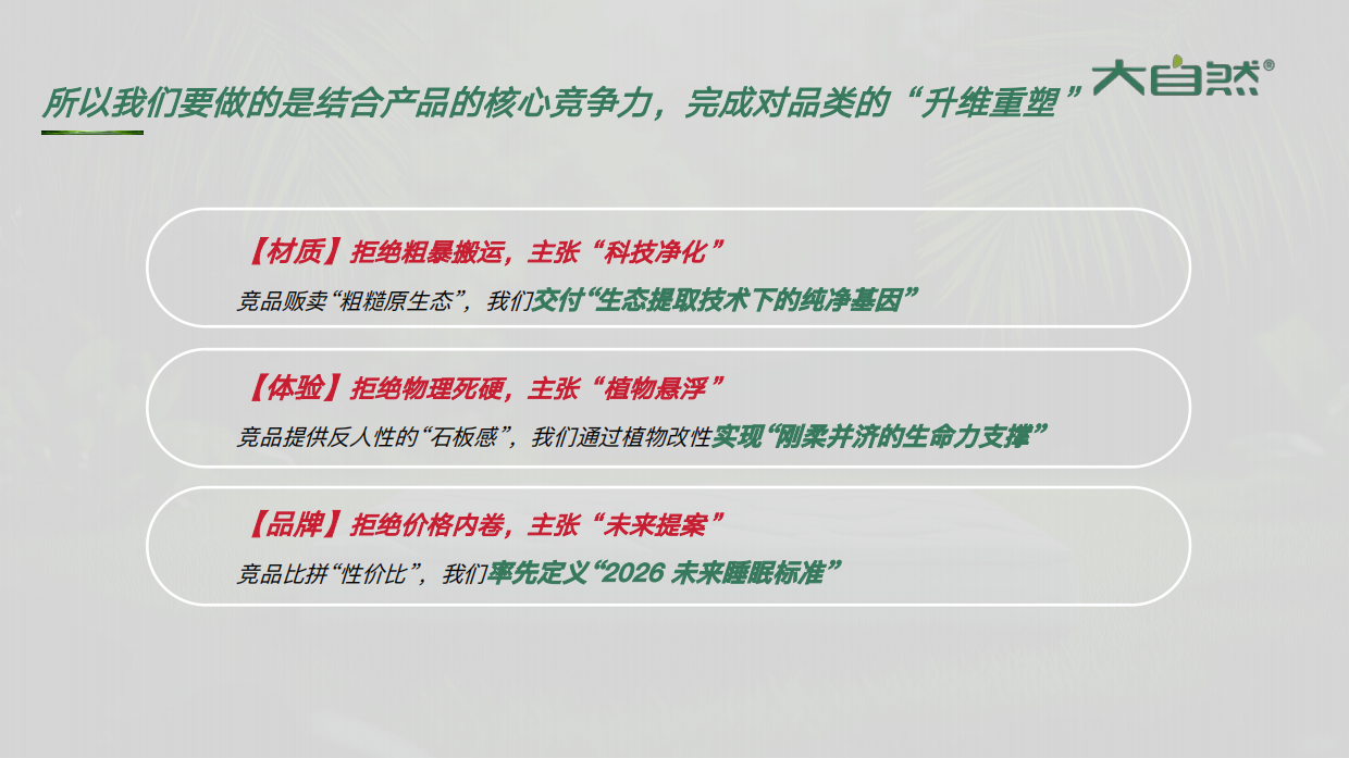 2026大自然床垫小红书种草方案.pdf_第10页