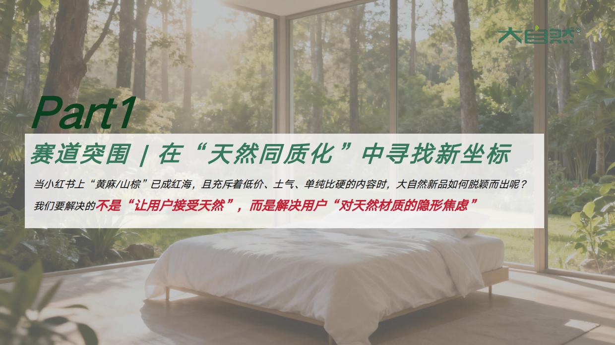 2026大自然床垫小红书种草方案.pdf_第2页