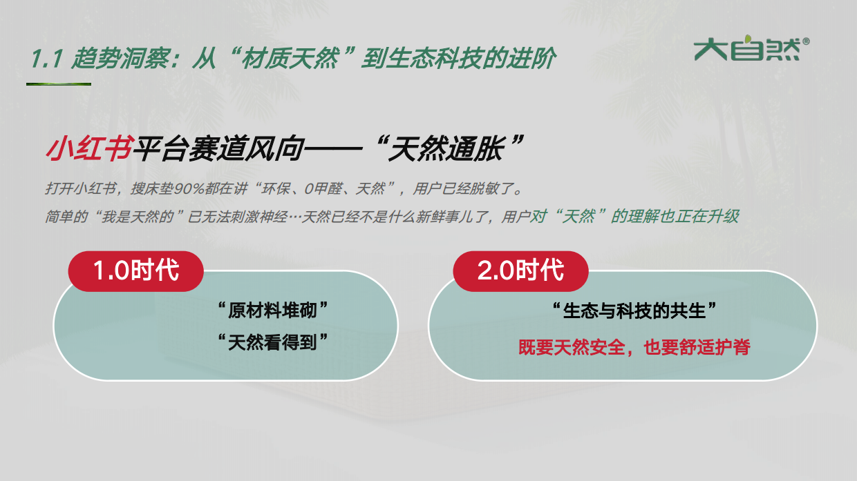 2026大自然床垫小红书种草方案.pdf_第3页