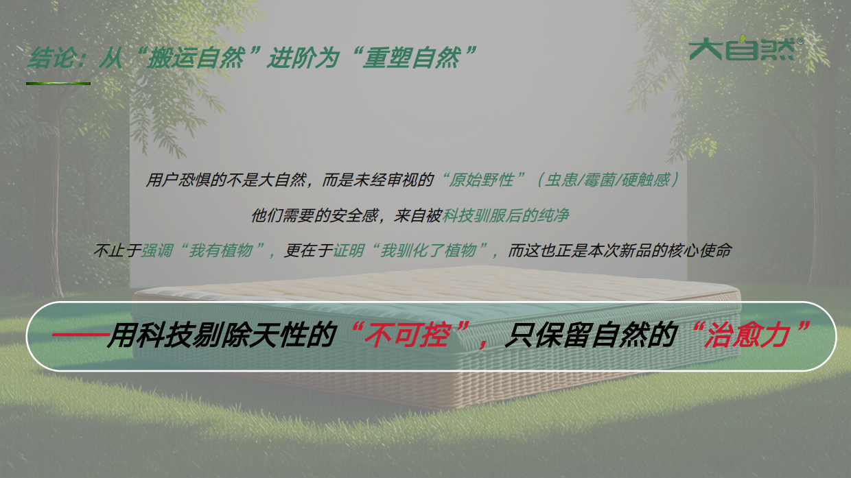 2026大自然床垫小红书种草方案.pdf_第5页