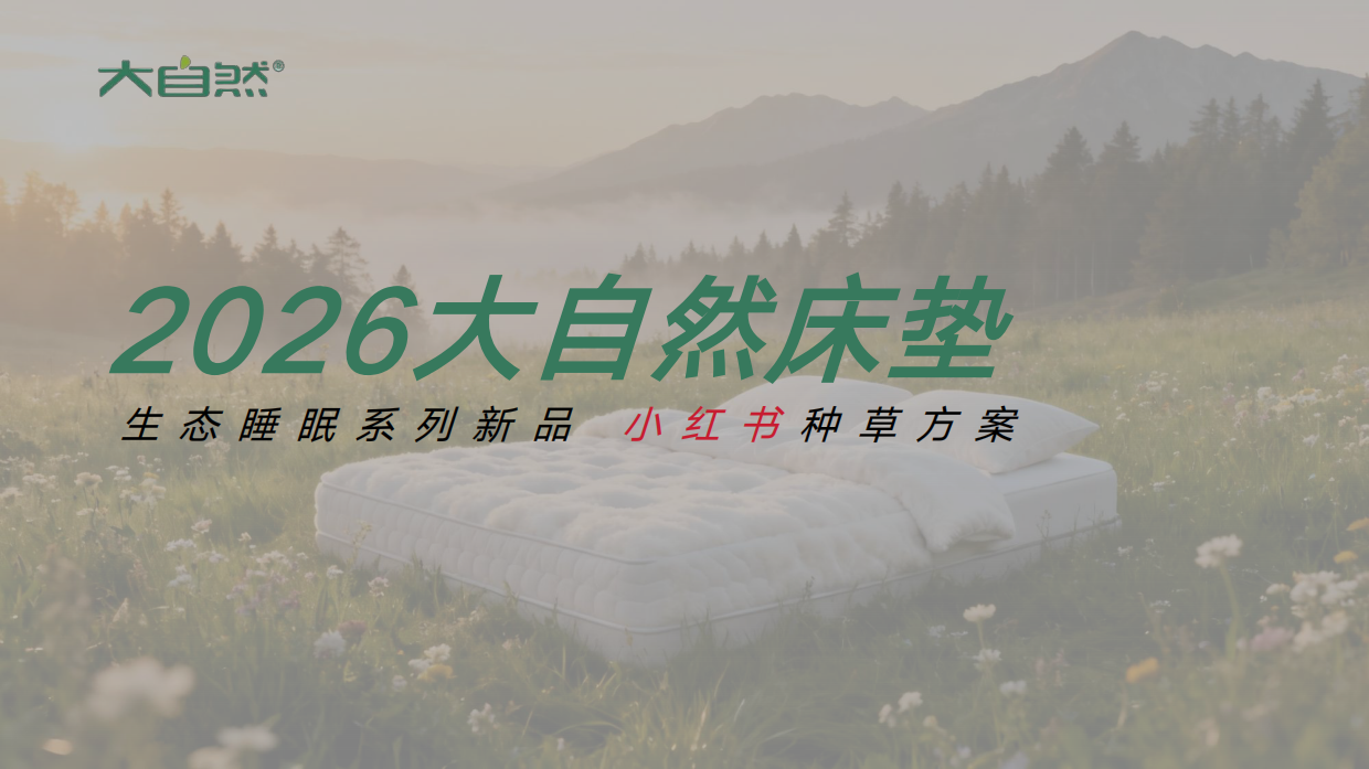 2026大自然床垫小红书种草方案.pdf