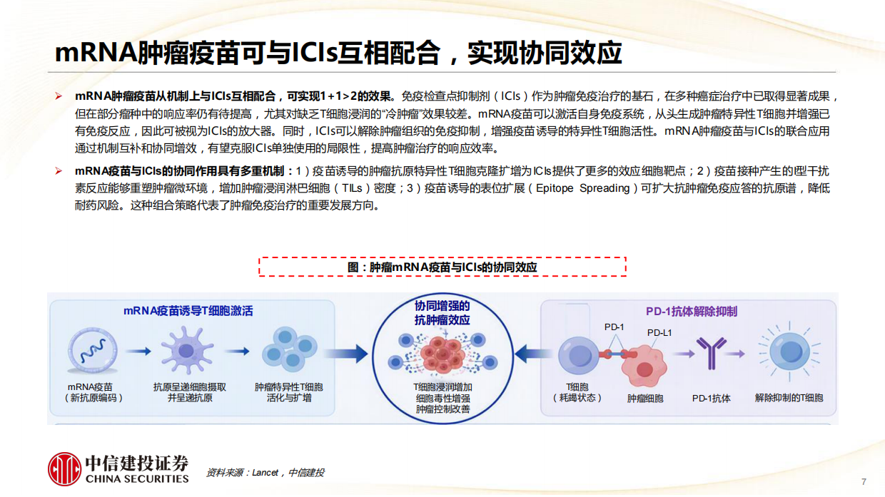 2026医药行业肿瘤mRNA疫苗：开创肿瘤治疗新范式，国内企业加速追赶-中信建投.pdf_第7页