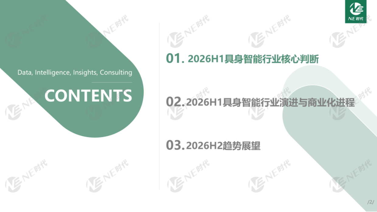 2026年H1具身智能行业总结报告-NE时代.pdf_第2页
