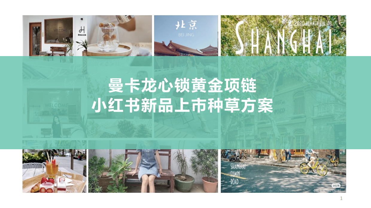 曼卡龙小红书新品种草方案.pdf_第1页