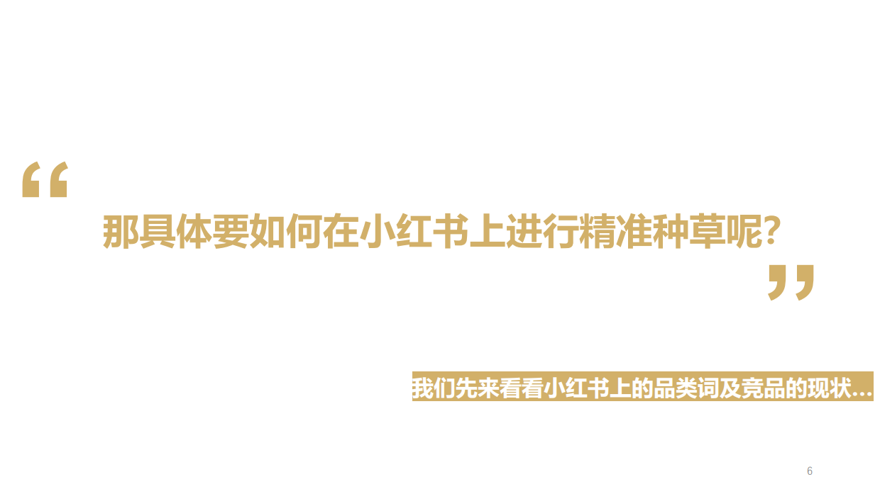YIN隐小红书种草方案.pdf_第6页