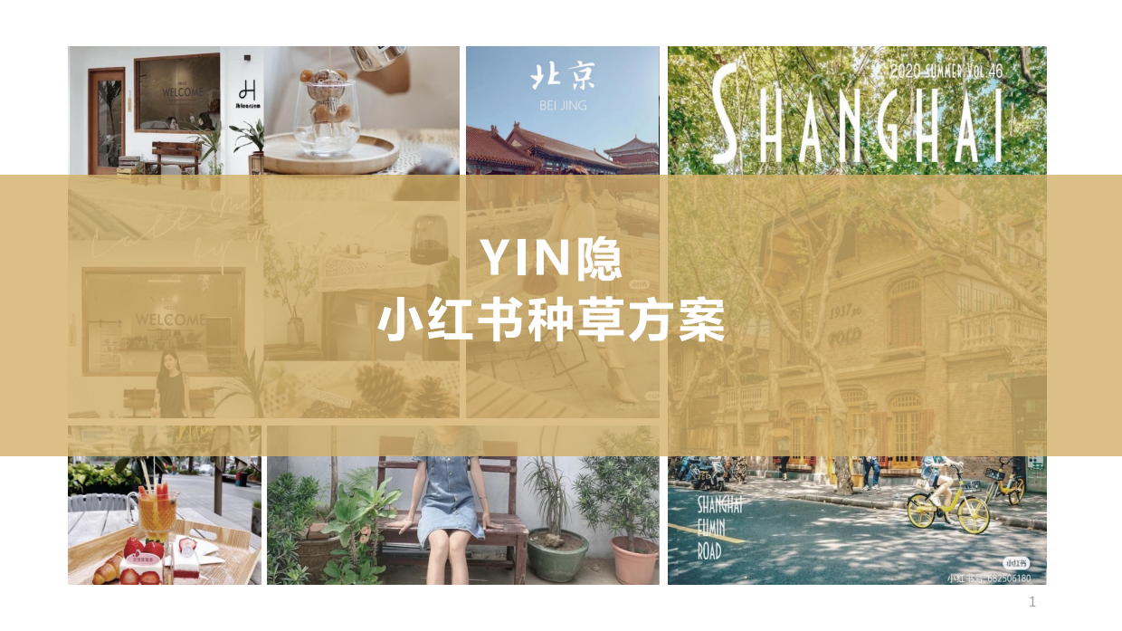 YIN隐小红书种草方案.pdf