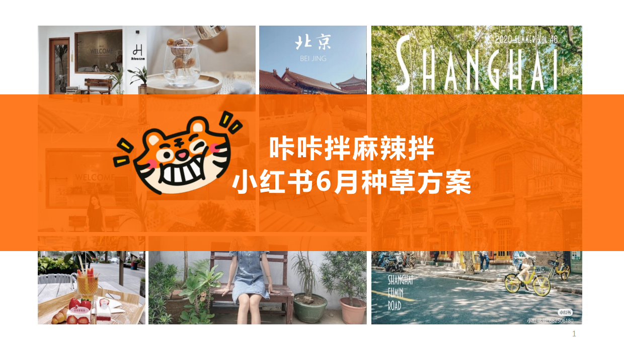 咔咔拌麻辣拌小红书种草方案.pdf