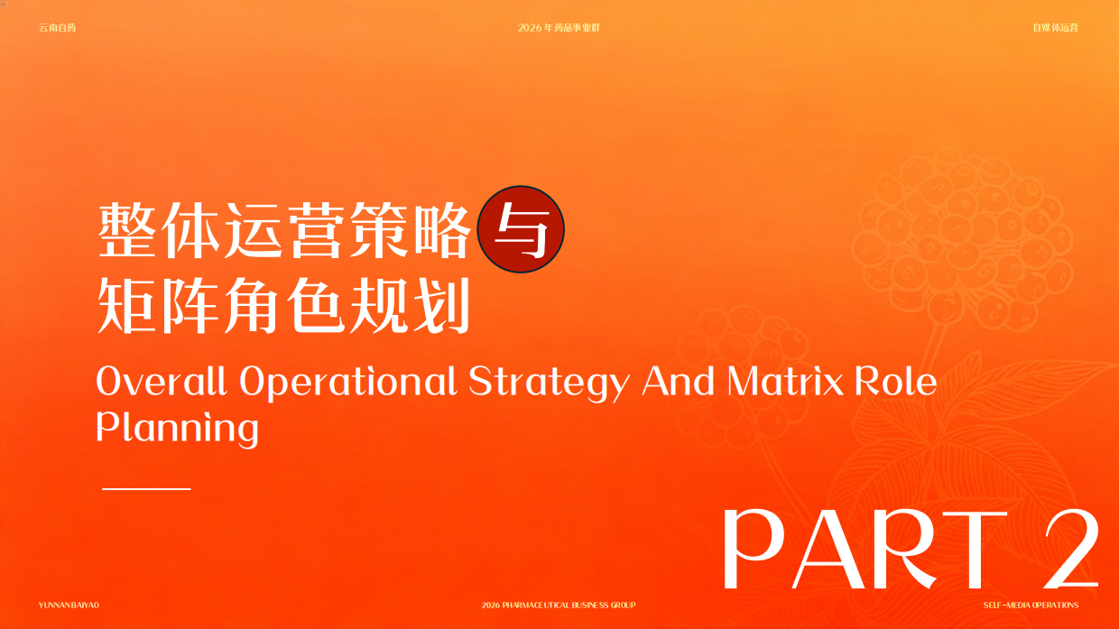 2026云南白药自媒体运营方案.pdf_第10页