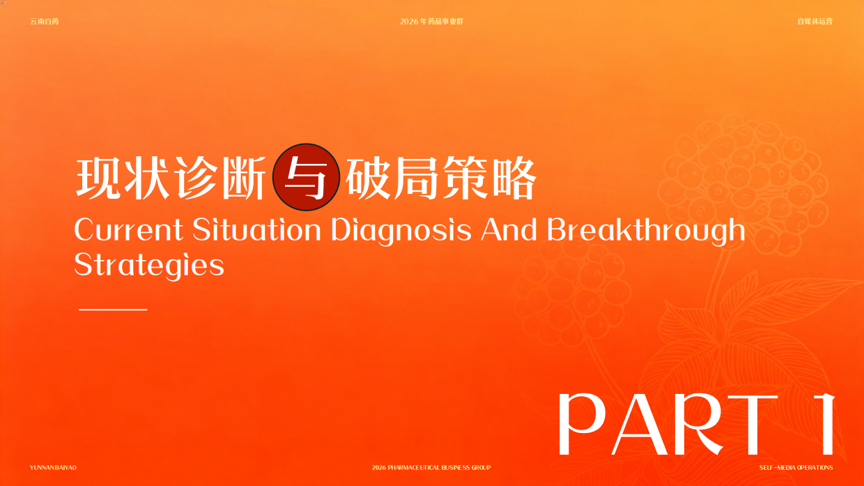 2026云南白药自媒体运营方案.pdf_第2页