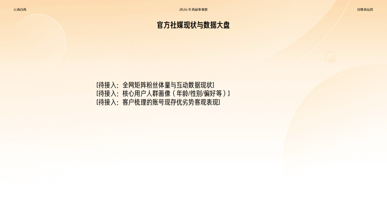 2026云南白药自媒体运营方案.pdf_第4页