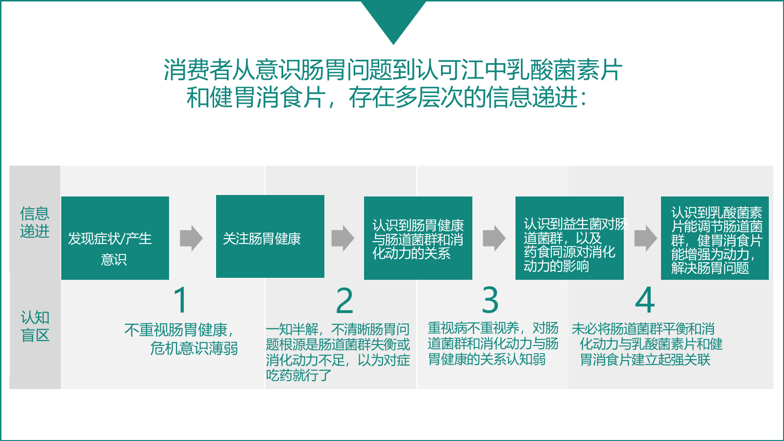 2022乳酸菌素片健胃消食片双品抖音营销策略规划.pptx_第4页