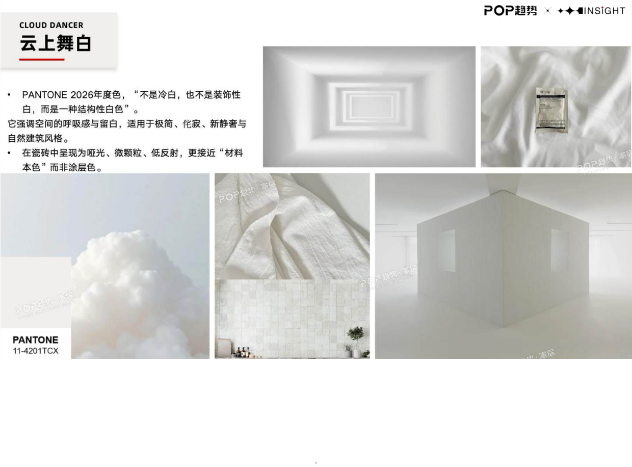2026全球瓷砖行业趋势白皮书（下）-POP趋势家居.pdf_第5页