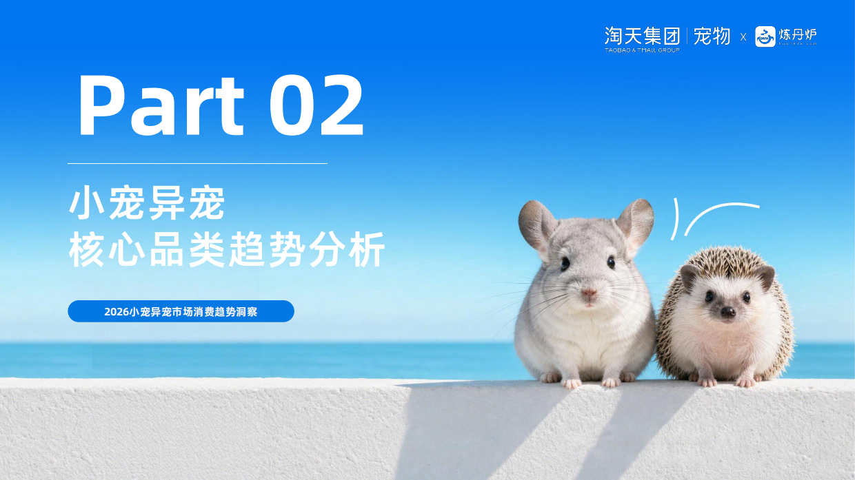 2026小宠异宠市场消费趋势洞察报告-炼丹炉全域数据.pdf_第10页