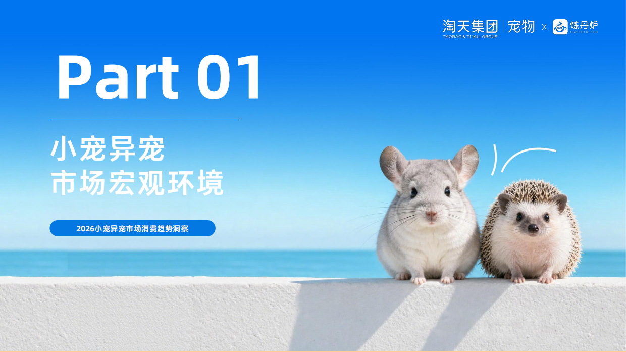 2026小宠异宠市场消费趋势洞察报告-炼丹炉全域数据.pdf_第4页