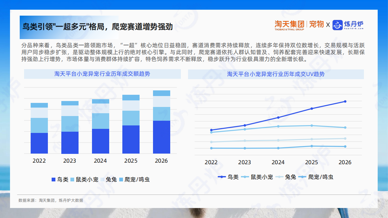 2026小宠异宠市场消费趋势洞察报告-炼丹炉全域数据.pdf_第6页