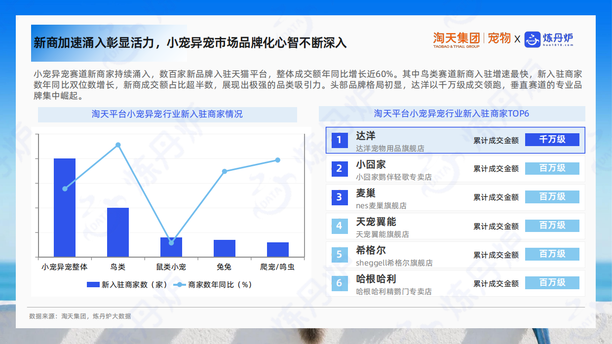 2026小宠异宠市场消费趋势洞察报告-炼丹炉全域数据.pdf_第7页