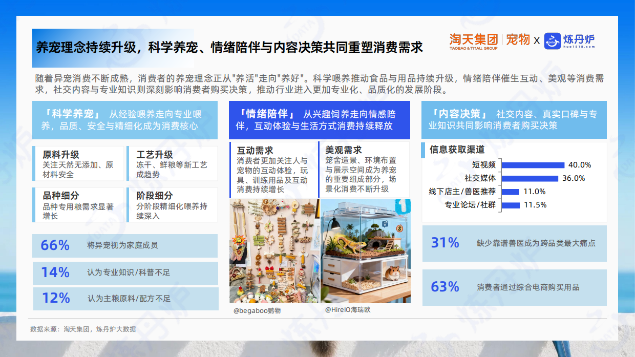 2026小宠异宠市场消费趋势洞察报告-炼丹炉全域数据.pdf_第9页