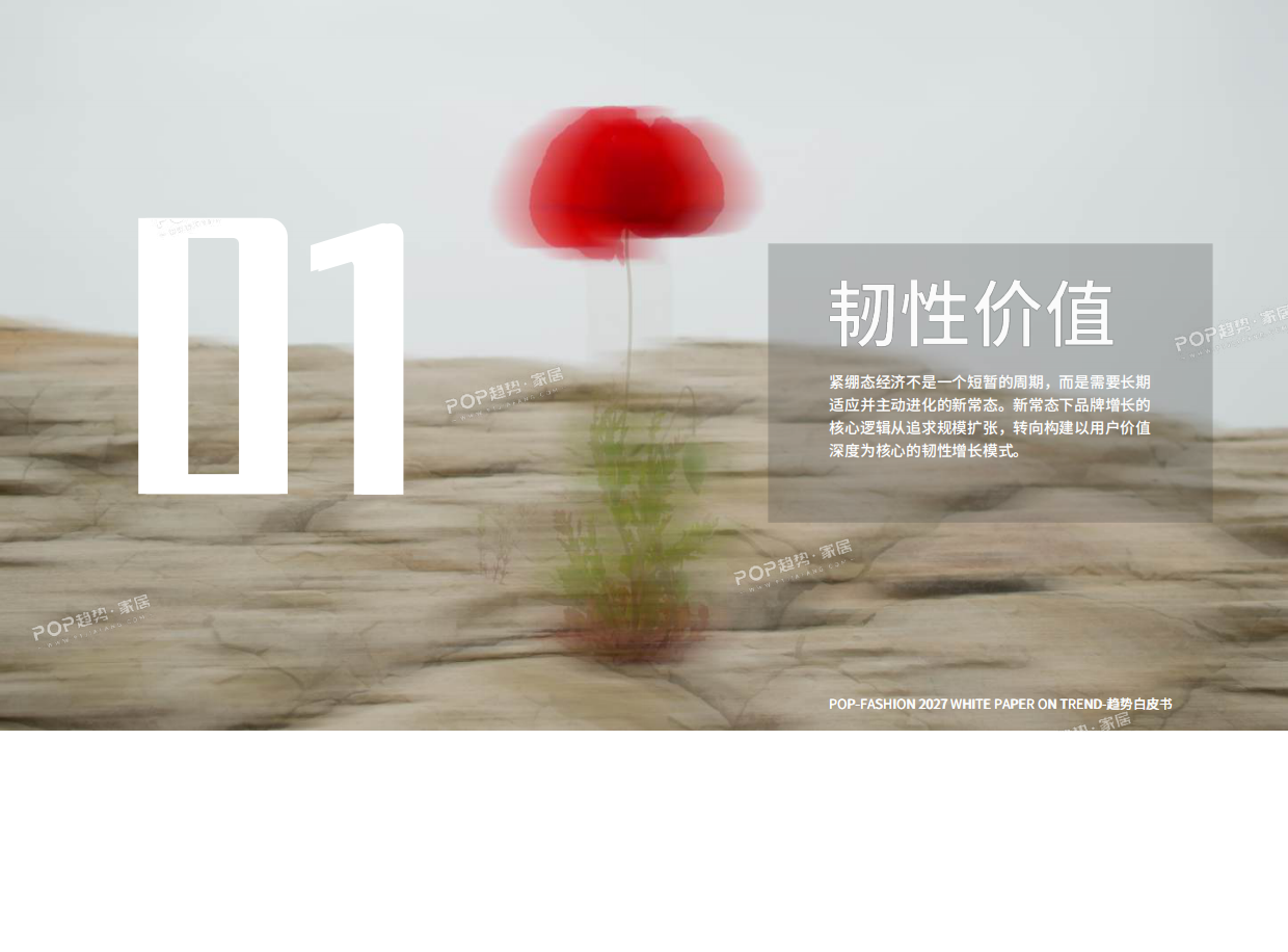 2027趋势白皮书（上）-POP趋势家居.pdf_第6页