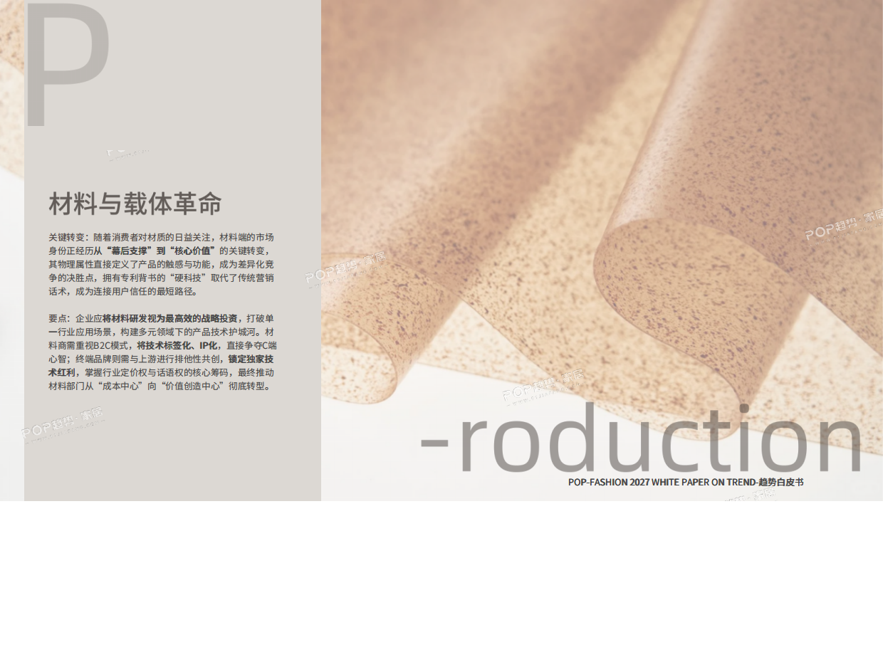 2027趋势白皮书（下）-POP趋势家居.pdf_第6页