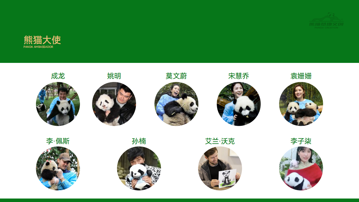 2026熊猫基地文创品牌介绍.pdf_第7页