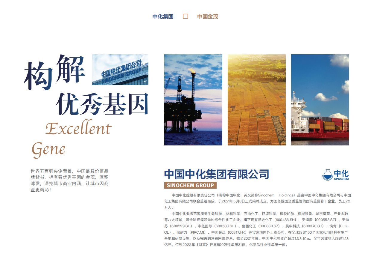金茂丰茂里购物中心项目招商手册.pdf_第2页
