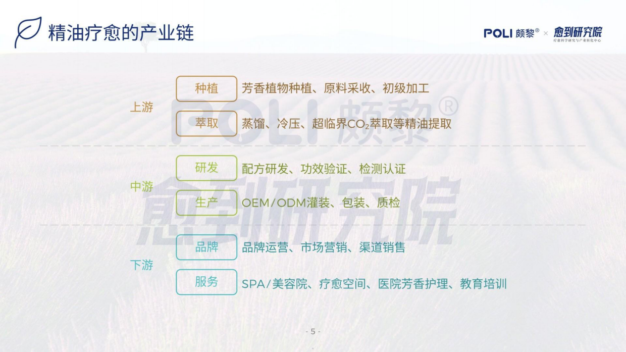 2026精油疗愈蓝皮书-颇黎&愈到研究院.pdf_第5页