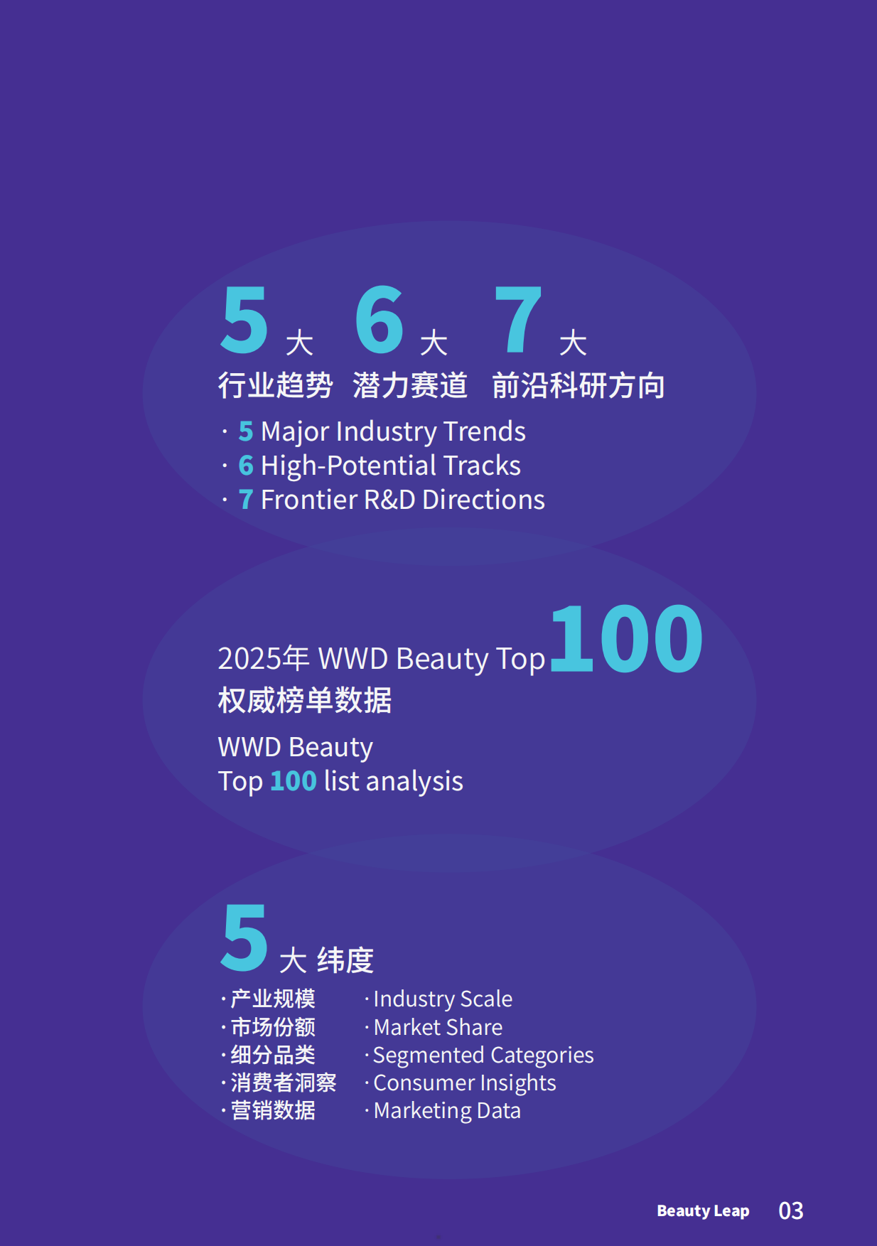 2026中国美妆产业发展白皮书（中英）-WWD.pdf_第5页