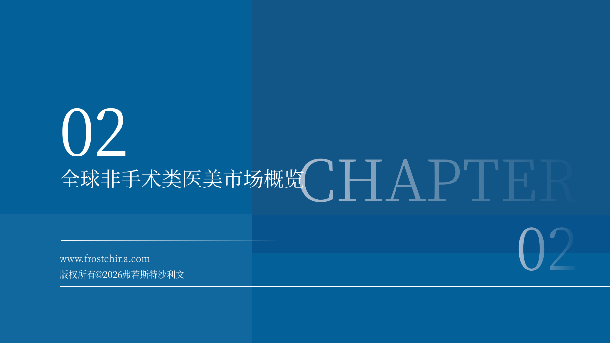 2026年全球医美行业光电抗衰专题白皮书-沙利文.pdf_第10页